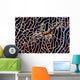 Ornate Ghost Pipefish Sea Wall Decal