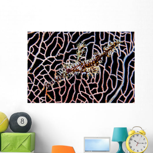 Ornate Ghost Pipefish Sea Wall Decal