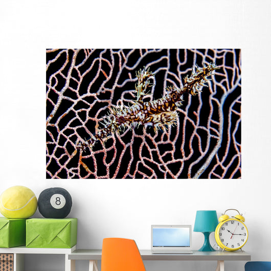 Ornate Ghost Pipefish Sea Wall Decal