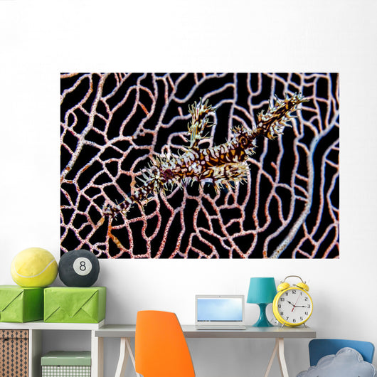 Ornate Ghost Pipefish Sea Wall Decal