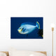 Bignose Unicornfish Being Cleaned Wall Decal