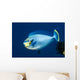 Bignose Unicornfish Being Cleaned Wall Decal
