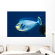 Bignose Unicornfish Being Cleaned Wall Decal
