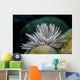 Common Feather Duster Worm Wall Decal
