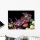 Netted Miamira Nudibranch Papua Wall Decal