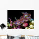 Netted Miamira Nudibranch Papua Wall Decal