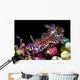 Netted Miamira Nudibranch Papua Wall Decal