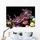 Netted Miamira Nudibranch Papua Wall Decal
