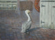 Petes' Pelican Wall Mural