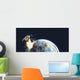 Apocalyptic Illustration Earth Exploding Wall Decal