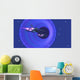 Spaceships Enter Wormhole Outer Wall Decal