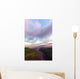 Dry Riverbed Winds Its Wall Decal