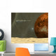 Starship Visits Asteroid near Wall Decal