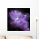 Artist's Rendering Ngc 1977 Wall Decal