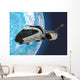 Pilot Maneuvers Space Shuttle Wall Decal