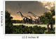 Brachiosaurus Dinosaurs Walk through Wall Decal