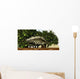 Stegosaurus Baby Looks to Wall Decal