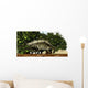 Stegosaurus Baby Looks to Wall Decal