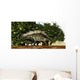 Stegosaurus Baby Looks to Wall Decal