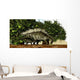 Stegosaurus Baby Looks to Wall Decal