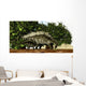 Stegosaurus Baby Looks to Wall Decal