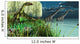 Dilong Dinosaurs Watch Two Wall Decal