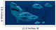 School Fish Encounter Monstrous Wall Decal