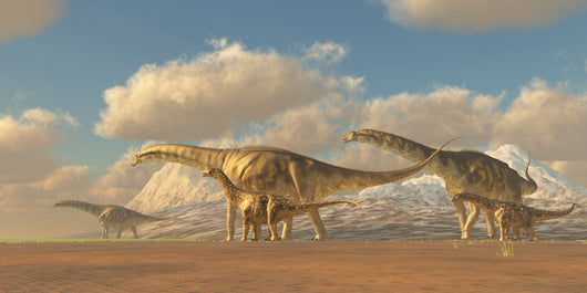 Herd Argentinosaurus Dinosaurs Wall Decal