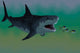 Tuna Fish Escape from Wall Decal