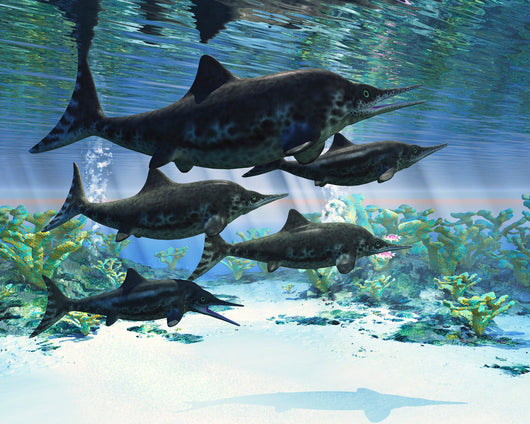 Group Ichthyosaurs Swimming Prehistoric Wall Decal
