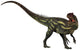 Allosaurus Prehistoric Era Dinosaur Wall Decal Design 2