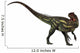 Allosaurus Prehistoric Era Dinosaur Wall Decal Design 2