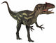 Allosaurus Prehistoric Era Dinosaur Wall Decal Design 1