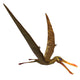 Anhanguera Genus Pterosaur from Wall Decal