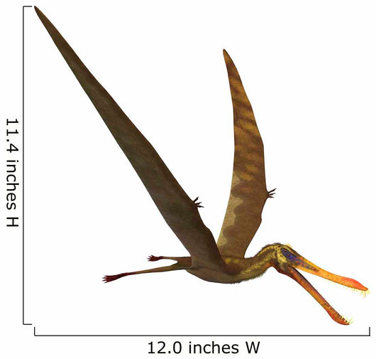 Anhanguera Genus Pterosaur from Wall Decal