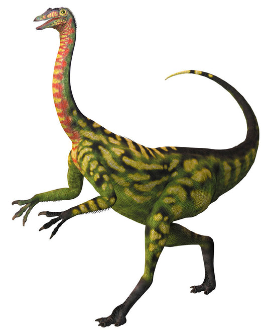 Deinocheirus Large Carnivorous Dinosaur Wall Decal