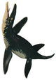 Liopleurodon Large Carnivorous Marine Wall Decal