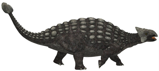 Ankylosaurus Armored Dinosaur from Wall Decal Design 1