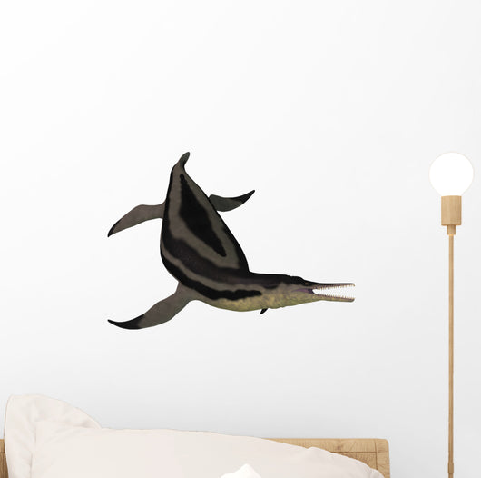 Dolichorhynchops Extinct Genus Short-neck Wall Decal