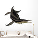 Dolichorhynchops Extinct Genus Short-neck Wall Decal