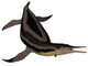 Dolichorhynchops Extinct Genus Short-neck Wall Decal