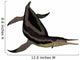 Dolichorhynchops Extinct Genus Short-neck Wall Decal
