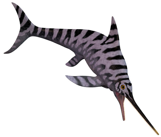 Eurhinosaurus Extinct Genus Ichthyosaur Wall Decal