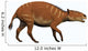 Eurohippus Extinct Ancestor Modern Wall Decal