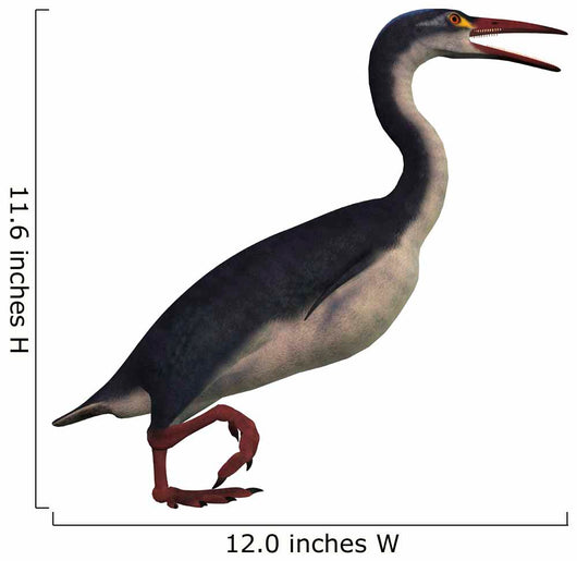 Hesperornis Genus Flightless Birds Wall Decal