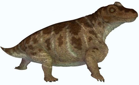 Keratocephalus Semi-aquatic Dinosaur from Wall Decal