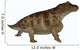 Keratocephalus Semi-aquatic Dinosaur from Wall Decal