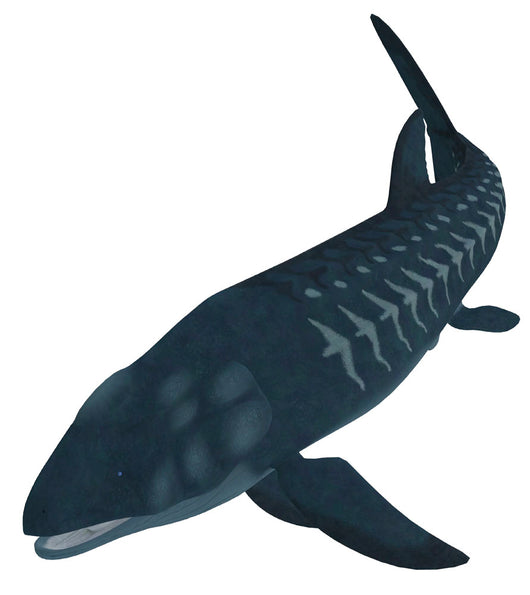 Leedsichthys Extinct Bony Fish Wall Decal