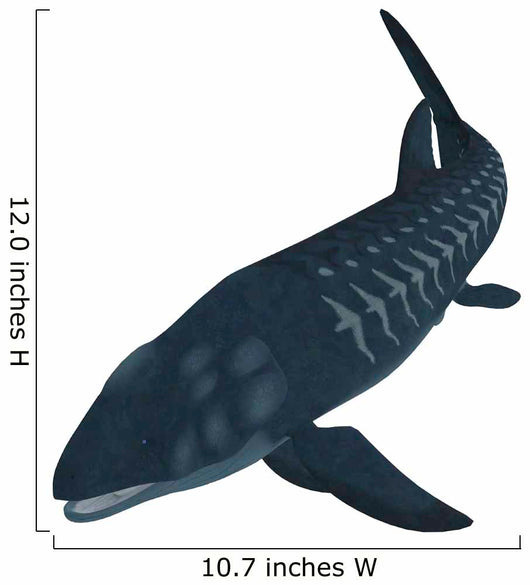 Leedsichthys Extinct Bony Fish Wall Decal