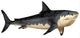 Megalodon Shark Wall Decal Design 4